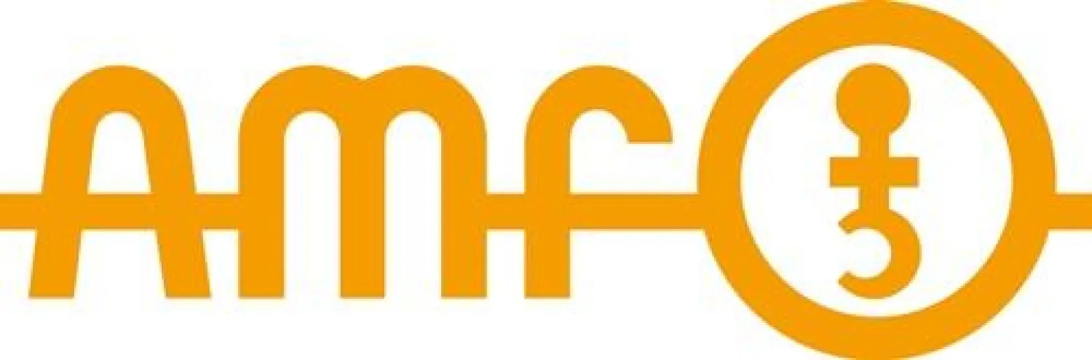 AMF Schubstangenspanner Nr. 6840 Größe 2 - 93922
