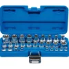 BGS Steckschlüssel-Einsatz-Satz E-Profil Antrieb Innenvierkant 6,3 mm 1/4" / 12,5 mm (1/2") SW E4 - E24 28tlg. - 70099