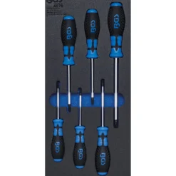 BGS Werkstattwageneinlage 1/3: Schraubendreher T-Profil (für Torx) 6tlg. - 4078