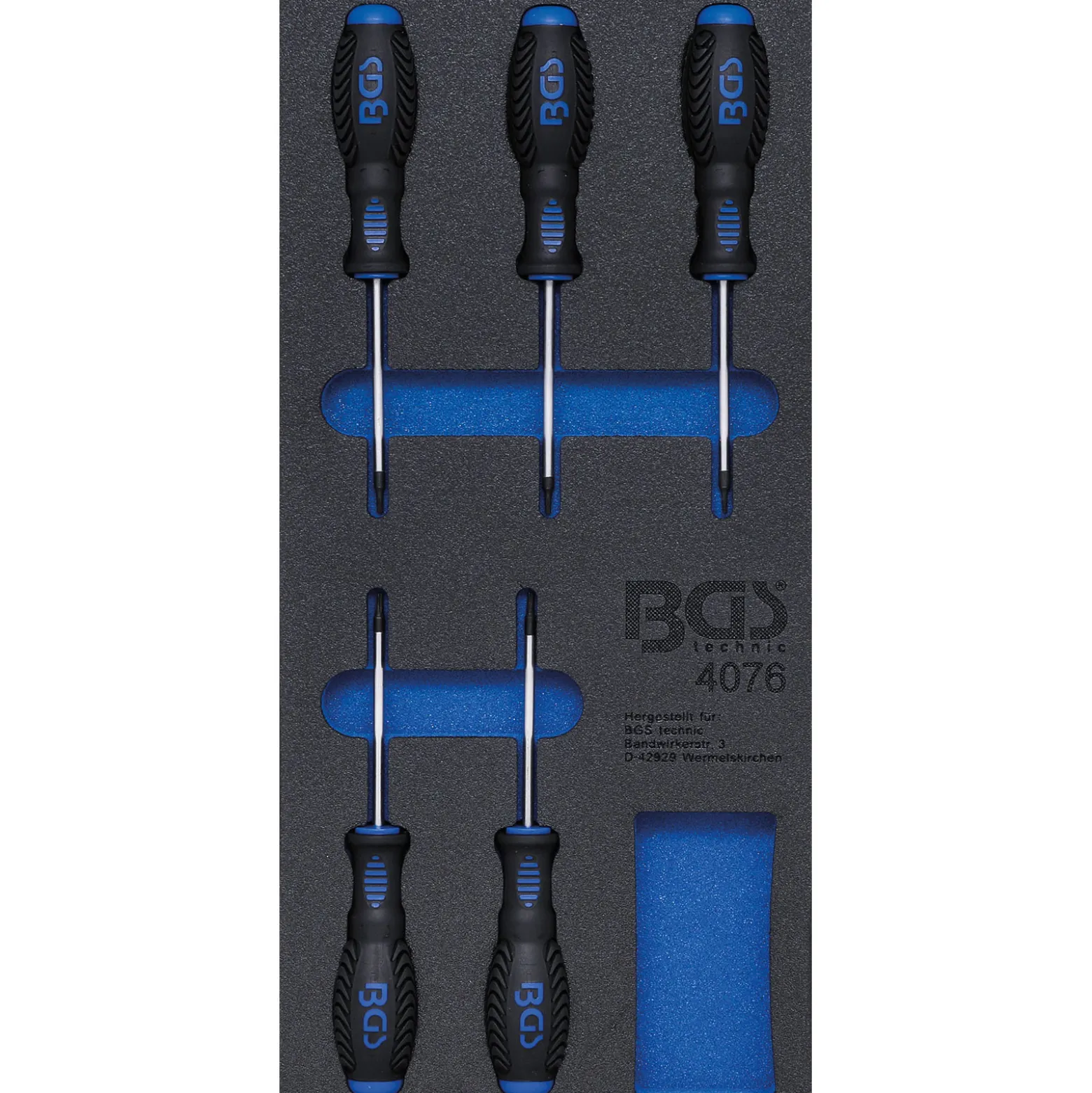 BGS Werkstattwageneinlage 1/3: Schraubendreher T-Profil (für Torx) 5tlg. - 4076