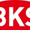 BKS ZT-Einsteckschl.0215 BAD 20/ 55/78/8mm DIN R silber rd Kl 1 Zinkdruckgruss - 2150510