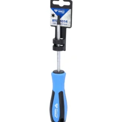 BRILLIANT TOOLS Schraubendreher TORX T25 x 100 mm - BT031014