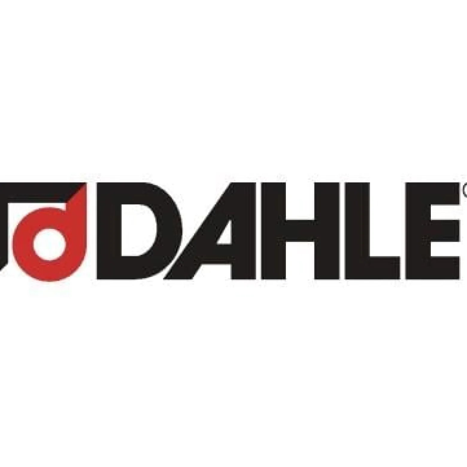 DAHLE Auffangbeutel 20706-04286 10 St./Pack.