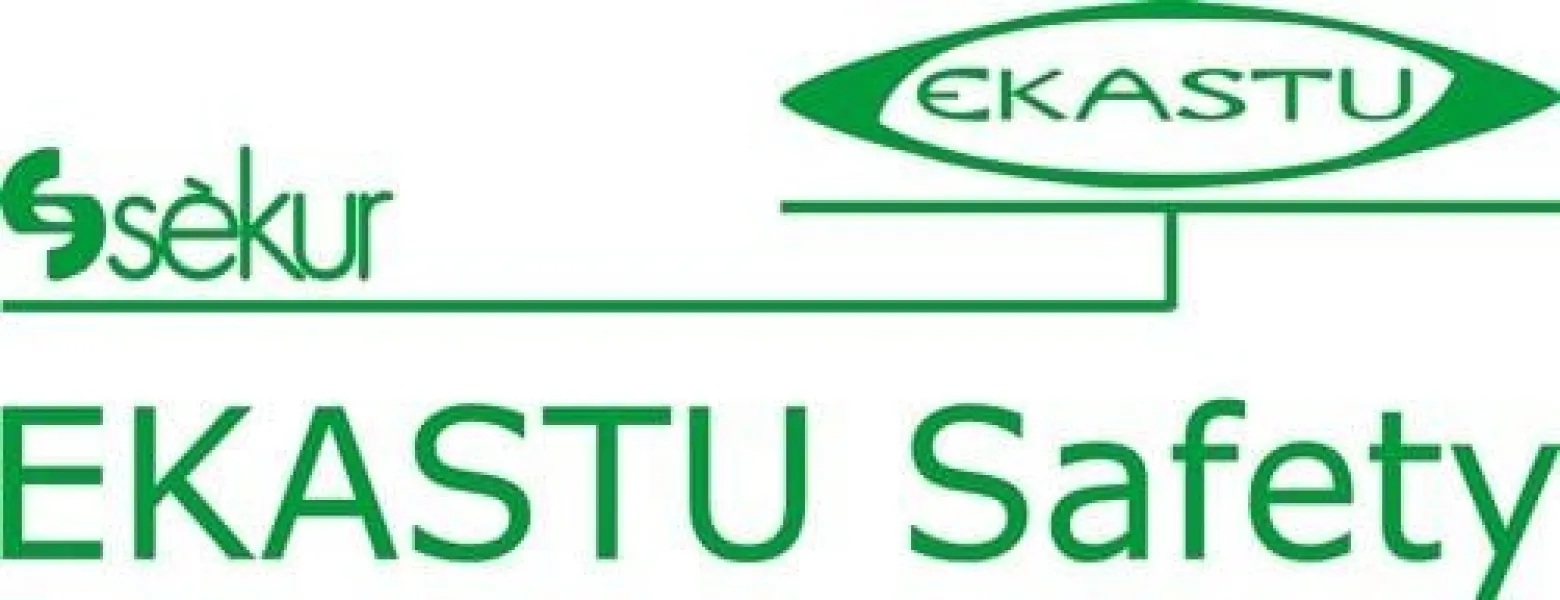 EKASTU Schweißerbrille CARINA KLEIN DESIGN 12799 EN 166 1-FT, EN 169, EN 171 - 277399