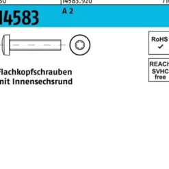 Flachkopfschraube ISO 14583 ISR M4x 20 A 2 1000 Stück