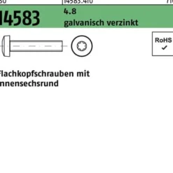 Flachkopfschraube ISO 14583 ISR M3x10 4.8 galv.verz. 200St.