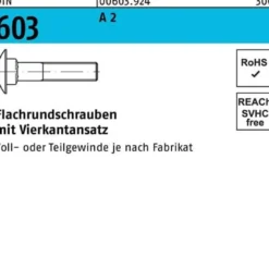 Flachrundschraube DIN 603 Vierkantansatz M6x 16 A 2 100 Stück