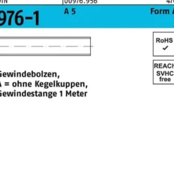 Gewindebolzen DIN 976 o.Kegelkuppen AM 24x 1000 A 5 1 Stück