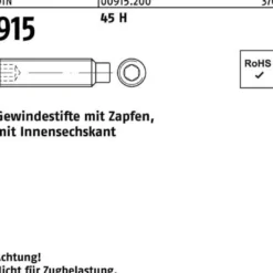 Gewindestift DIN 915 Zapfen/Innen-6kt M5x 20 45 H 500 Stück
