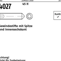 Gewindestift ISO 4027 Spitze/Innen-6kt M10x 70 45 H 100 Stück