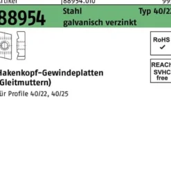 Hakenkopfgewindeplatte R 88954 Typ 40/22 M6 Stahl galv.verz. 100 Stück