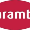 Intensiv Oberflächenreiniger 500ml NSF K1 Spraydose CARAMBA