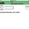 Kreuzlochschraube DIN 404 Schlitz M5x 10 5.8 galv.verz. 100 Stück