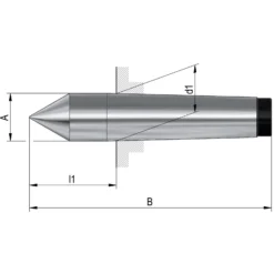 Röhm Feste Zentrierspitzen, Aufnahme MK 1, DIN 806, volle Spitze Werkstoff: WS - 013707