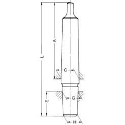 Röhm Kegeldorne mit Bohrfutterkegel DIN 238, MK 2, Aufnahme B16 - 014906
