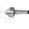 Röhm Mitlaufender Zentrierkegel, Aufnahme MK 2, Größe 172, stumpf, 75° - 301559