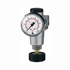 Riegler Druckregler Standard Gewinde inkl. Manometer BG 1 G 1/4 - 100807