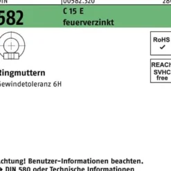 Ringmutter DIN 582 M 24 C 15 E feuerverzinkt feuerverzinkt 10 Stück