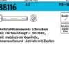 Schraube R 88116 diebstahlhemmend ISR Zapfen M10x 25-T45 A 2 100 Stück
