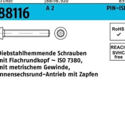 Schraube R 88116 diebstahlhemmend ISR Zapfen M10x 25-T45 A 2 100 Stück