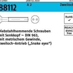 Schraube R 88112 diebstahlhemmend Seko/Zweiloch M6x 12 A 2 100 Stück