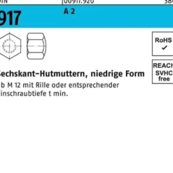 Sechskanthutmutter DIN 917 niedrige FormM10 SW 17 A 2 250 Stück