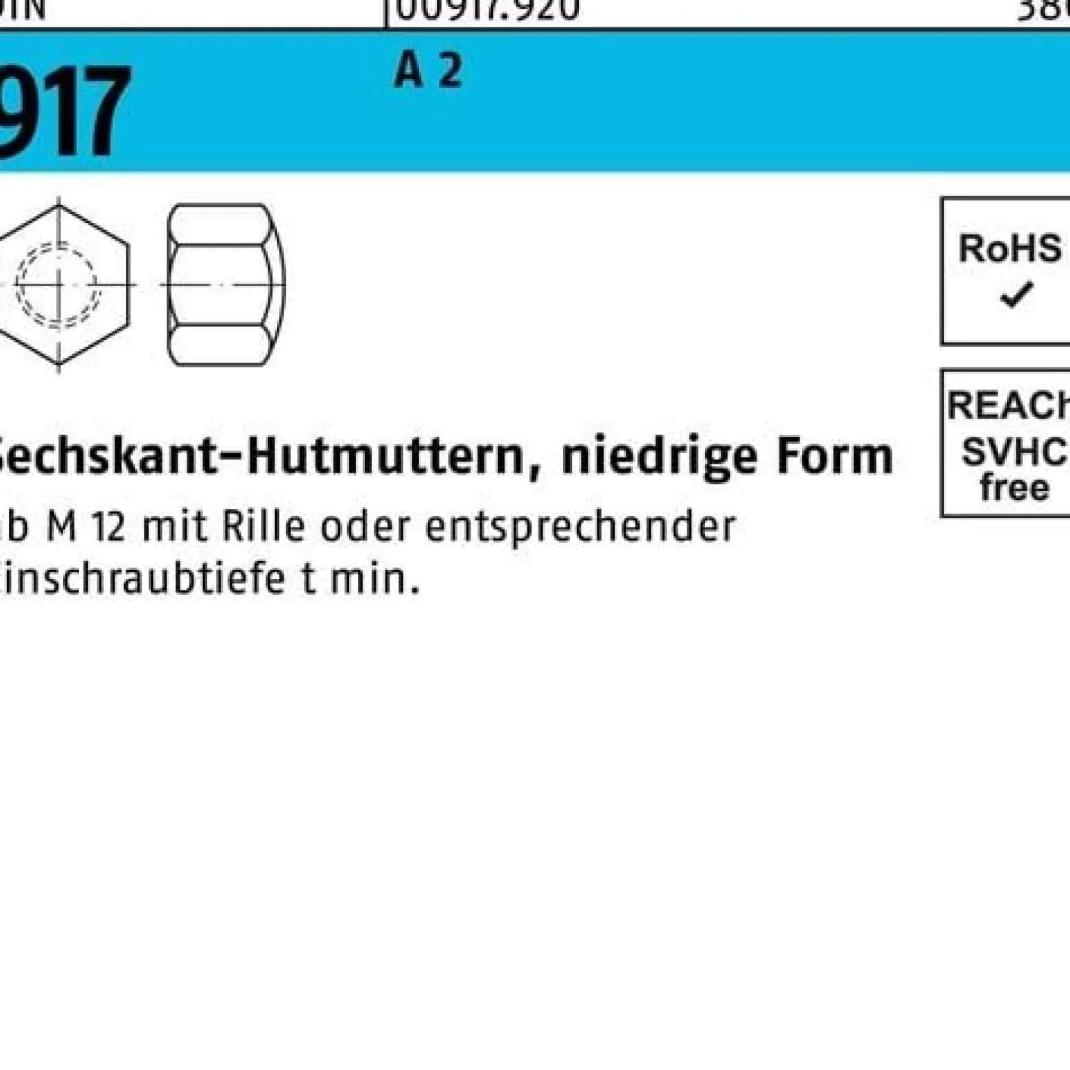 Sechskanthutmutter DIN 917 niedrige FormM10 SW 17 A 2 250 Stück
