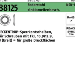 Sperrkantscheibe R 88125 NSK-B 10 Federstahl zinklamellenb. 1000St. TECKENTRUP