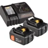 WS24 Akku Starter-Set 18 V / 2x 5,0 Ah Akku + Schnellladegerät