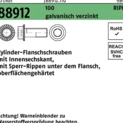 Zylinderflanschschraube R 88912 Sperr-Ripp Innen-6kt M12x50 100 galv.verz. 100St
