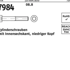 Zylinderschraube DIN 7984 Innen-6kt M6x 16 8.8 100 Stück